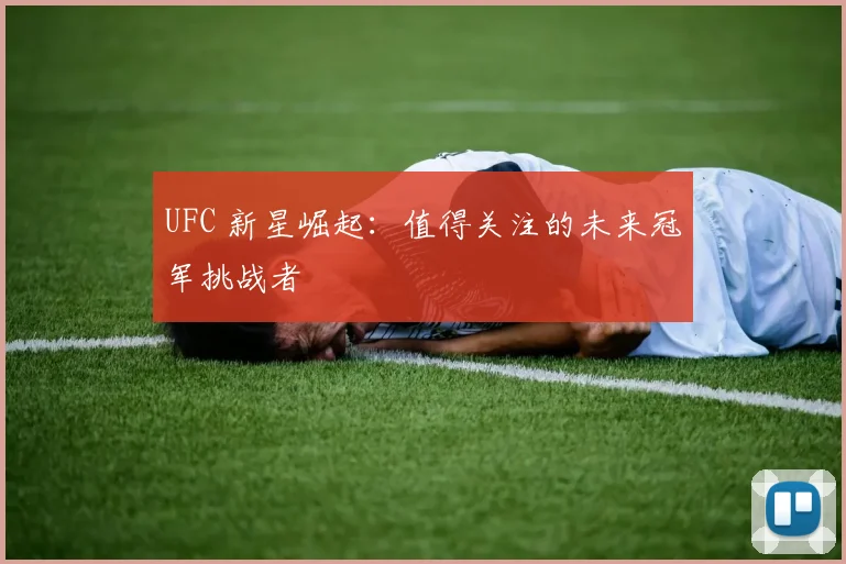 UFC 新星崛起：值得关注的未来冠军挑战者